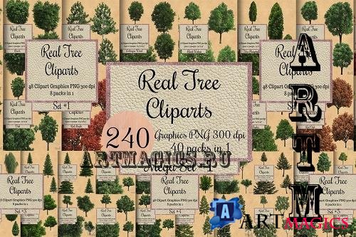 240 Real Tree Cliparts, Tree Overlays - 40 Premium Graphics