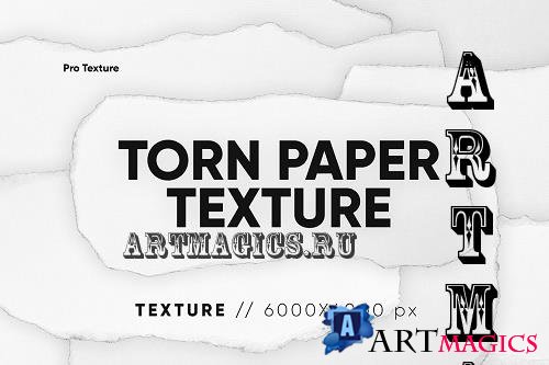 20 Torn Paper Piece Texture - 11010471