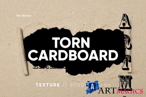 10 Torn Cardboard Texture - 11010485