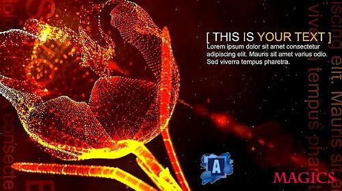 Animated Fluid Flower 910000023 - Project for After Effects