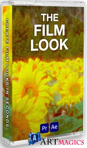 THE FILM LOOK