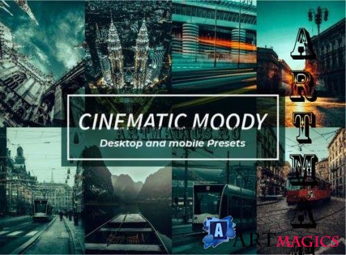 12 Cinematic Moody Lightroom