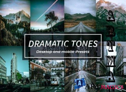 14 Dramatic Tones Lightroom Presets