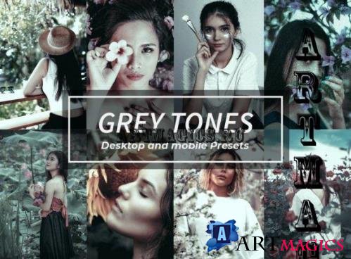 8 Grey Tones Lightroom Presets