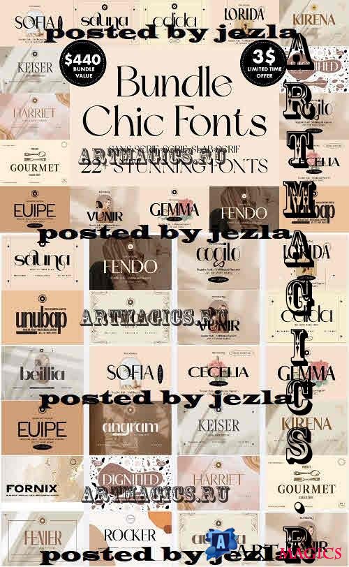 Luxury, Chic and Elegant Font Bundle - 22 Premium Fonts