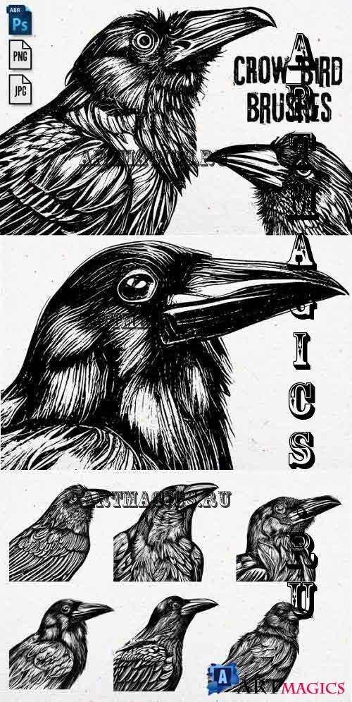 Crow Bird Brushes