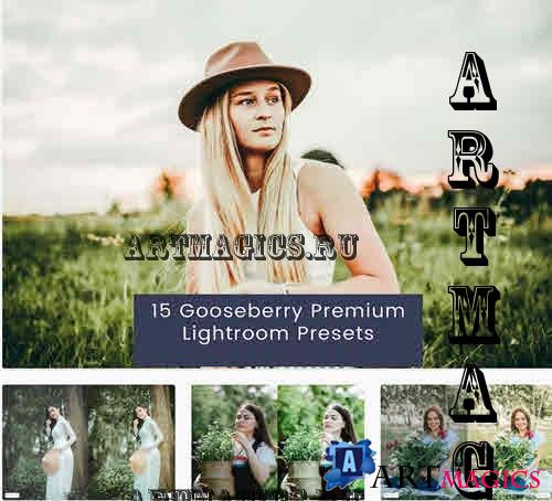 15 Gooseberry Premium Lightroom Presets - E6QPGVQ