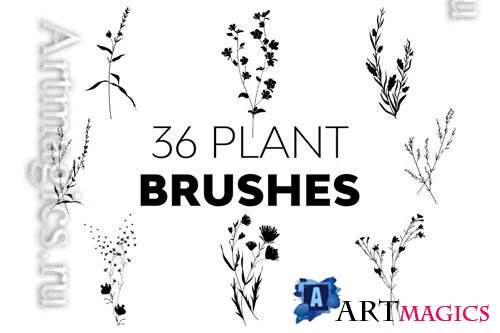 Plant Brushes 