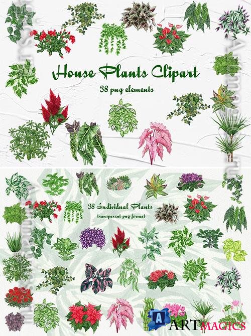 Watercolor Plants Clipart 