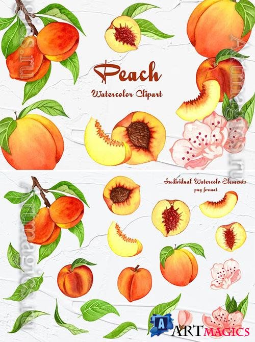 Peach Watercolor Clipart 