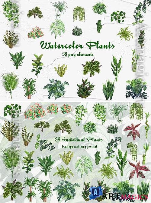 Watercolor Houseplants Clipart Design 