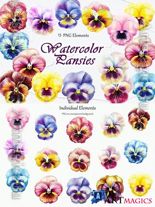 Pansy Flowers Watercolor Clipart 