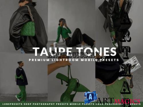 Taupe Tones Lightroom Presets