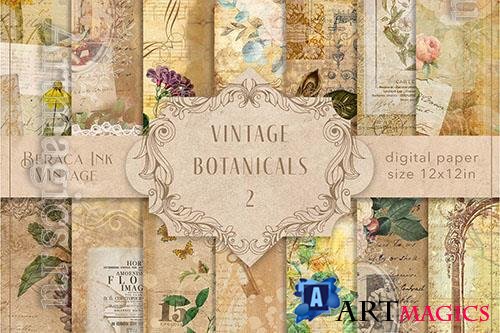 Vintage botanicals paper background