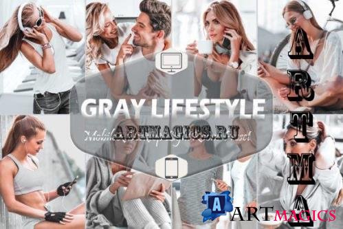 12 Gray Lifestyle Mobile & Desktop Lightroom Presets, Silver - 2576179