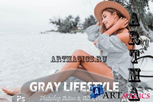 12 Gray Lifestyle Photoshop Actions And ACR Presets, Silver  - 2584244