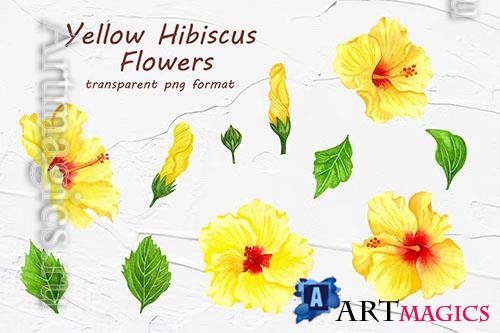 Yellow Hibiscus Flowers [PNG]