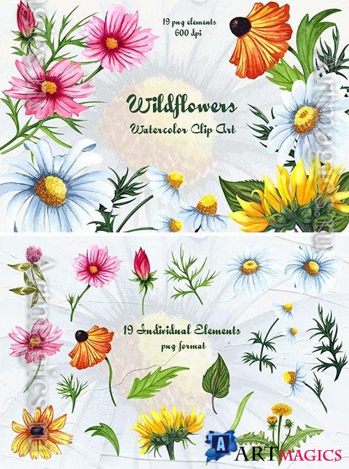 Wildflowers Watercolor Clipart [PNG]