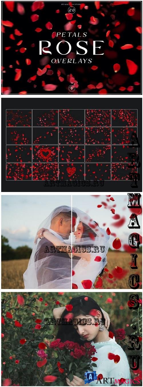 Rose Petals Overlays - MH8JE7R