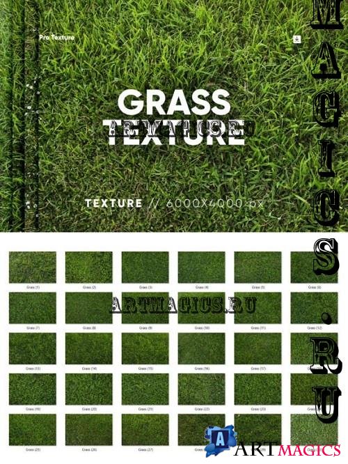 30 Grass Texture HQ - 27124263