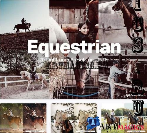 20 Equestrian Lightroom Presets LUTs - 31380369