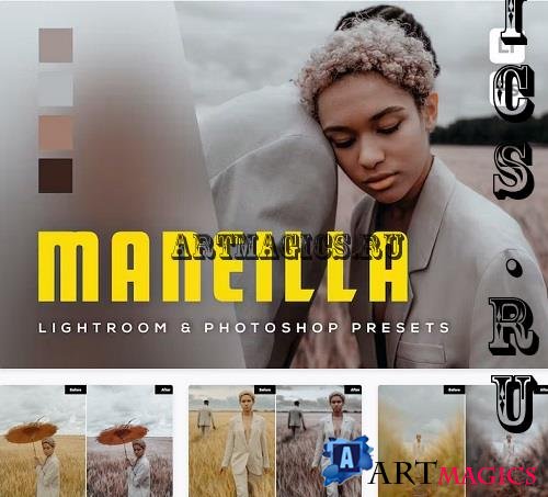 6 Maneilla Lightroom and Photoshop Presets - K6ML7DU