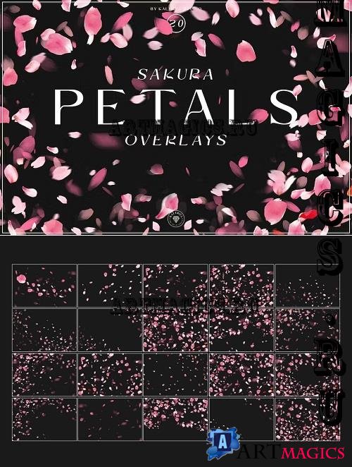 Sakura Petals Overlays - 2ESB9PH