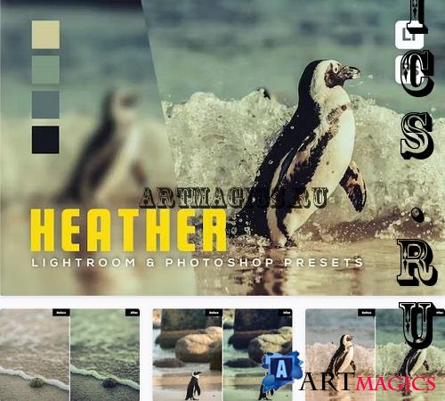 6 Heather Lightroom and Photoshop Presets - 3R86B5P