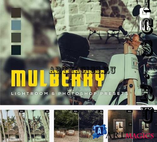 6 Mulberry Lightroom and Photoshop Presets - BJNU3G7