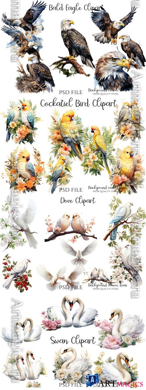 Swan, parrots, pigeons, two birds with words love, cockatiel bird, bald eagles bird - PSD illustration cliparts set