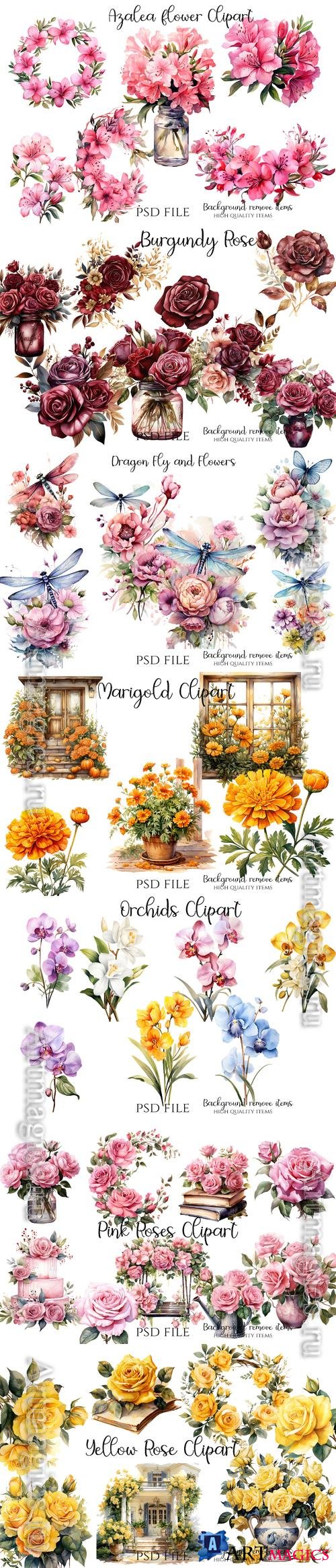 Flowers, roses, orchids, marigold, wildflowers, dragonfly - PSD illustration cliparts set