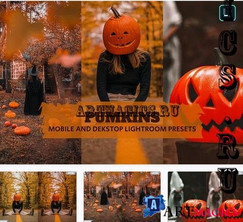 Pumpkins Lightroom Presets Dekstop and Mobile - 2DLVBKK