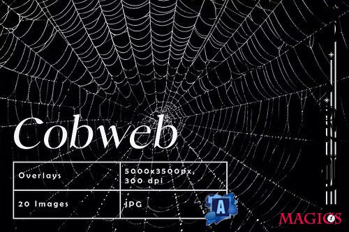 Spider Cobweb Overlays - GA8A7Z9