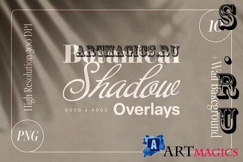 Botanical Shadow Overlay - 4LVLQZY