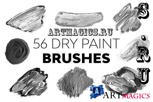 Dry Paint Brushes - DNA5WJC