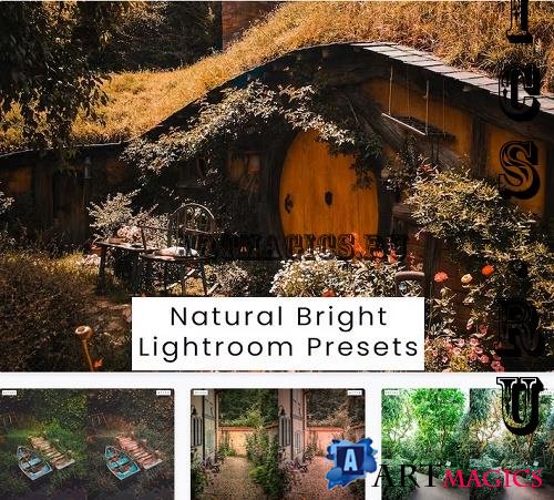 Natural Bright Lightroom Presets - XDTH73U