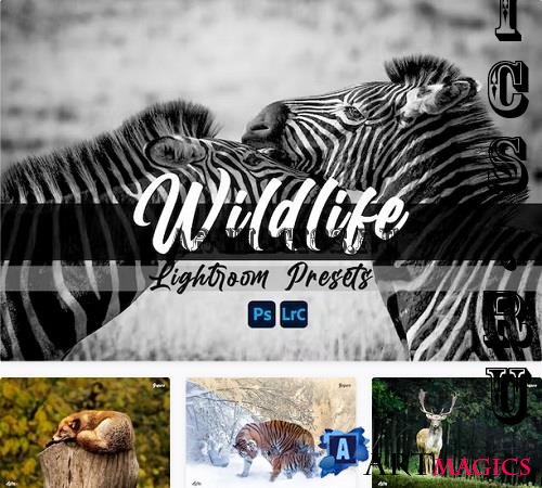 Wildlife Lightroom Presets - QDVF7F2