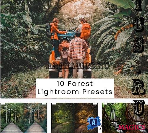 10 Forest Lightroom Presets - S8SCF6U