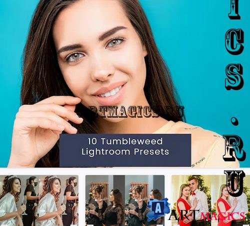 10 Tumbleweed Lightroom Presets - 4NDVWGV