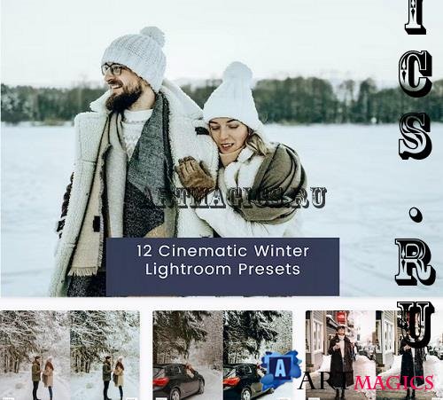 12 Cinematic Winter Lightroom Presets - TLXQ8YQ