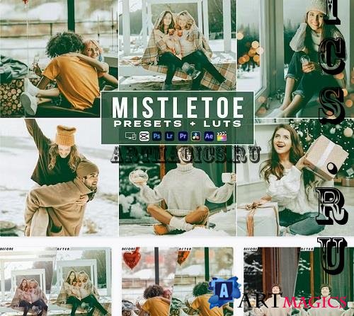 Mistletoe Filme Video Lut Presets Mobile & Desctop - D8UYSRD