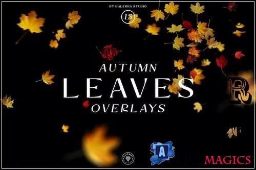 Autumn Leaves Overlays - Z2TSJ7H