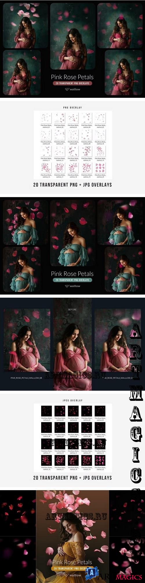 Pink rose flower petals transparent PNG overlays - H2RL8NN