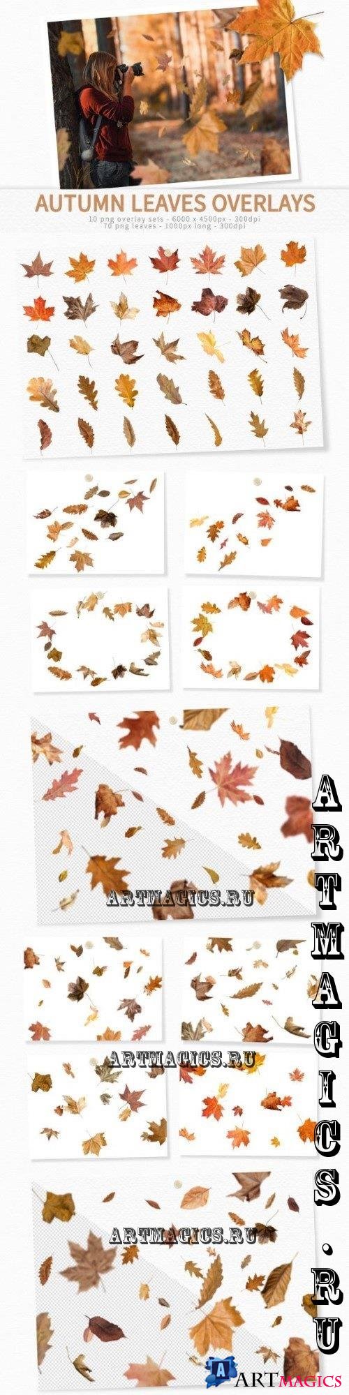 Autumn Leaves Overlays - 92473908