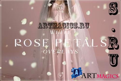 White Rose Petals Overlays - ADVJ33U