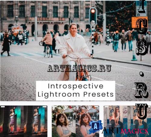 Introspective Lightroom Presets - MWBZYNH