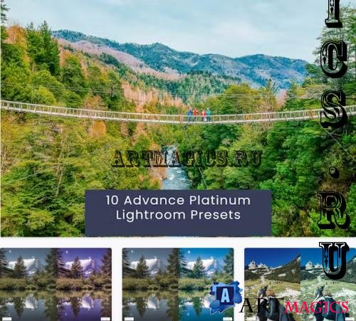 10 Advance Platinum Lightroom Presets - Z6Q9L6Z