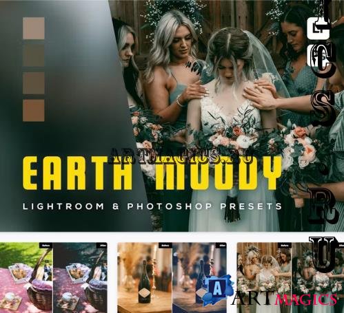 6 Earth moody Lightroom and Photoshop Presets - E6DALEM