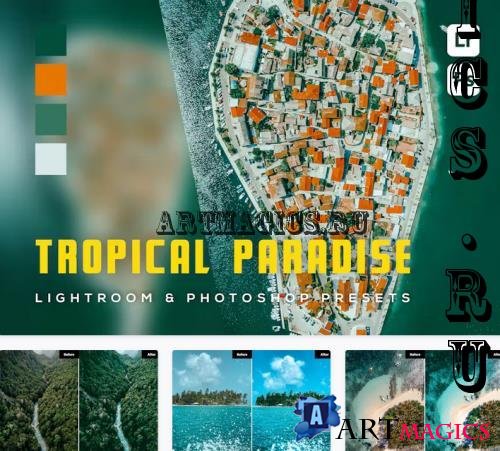 6 Tropical paradise Lightroom and Photoshop Preset - VSMHC63
