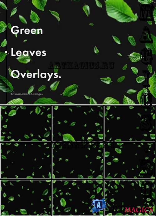Green Leaves Overlays - MG3K5QW